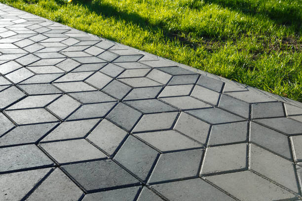 Best Driveway Paver Sealing  in Meridian Village, CO