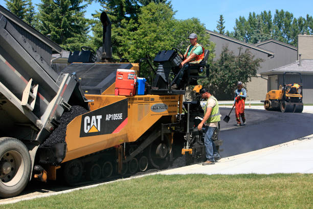 Best Driveway Pavers Contractor  in Meridian Village, CO